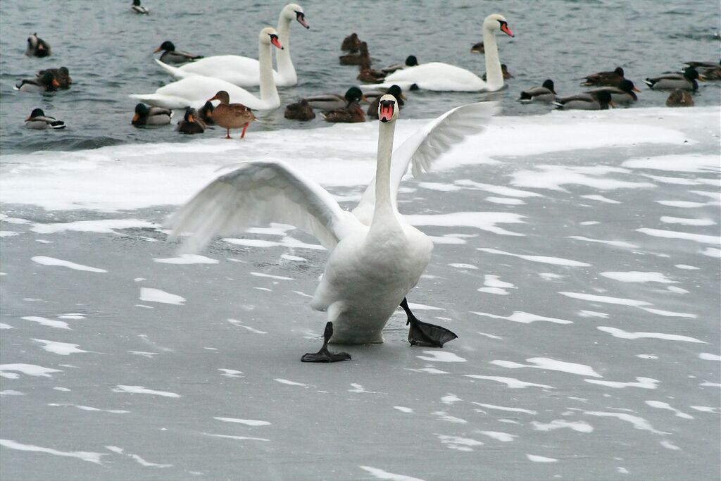 �� � �������� �� �����