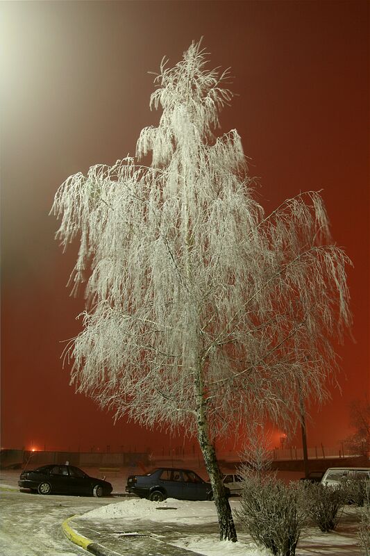 ������ ���������