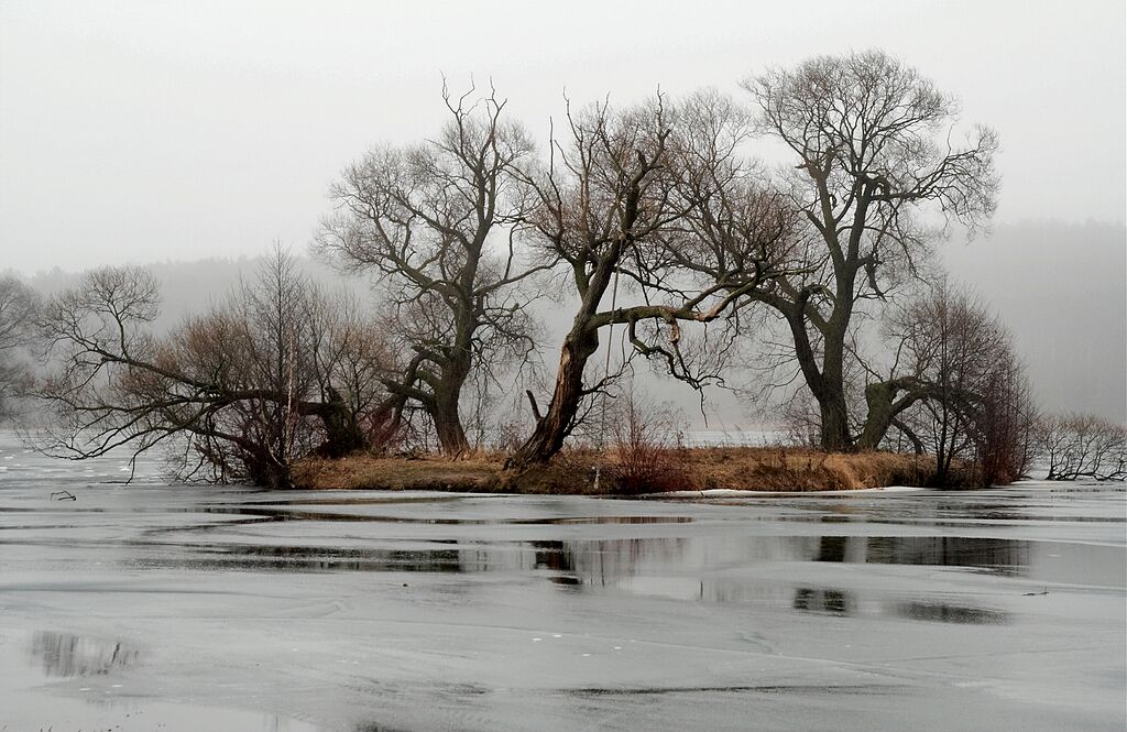 �������� ������