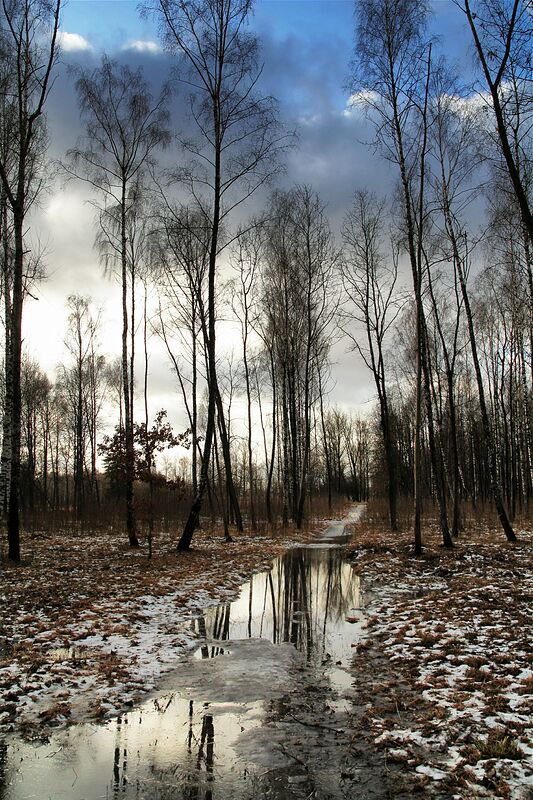 ����� �� �������.