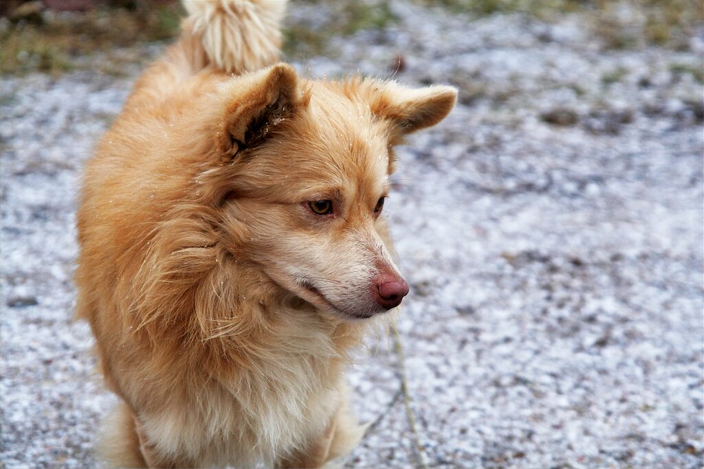 �� � ��� � �� ��� ��� ���������?