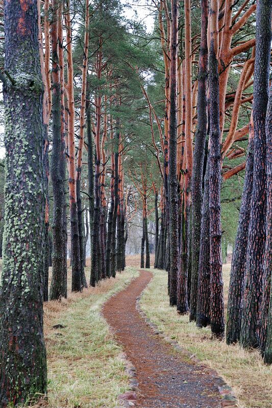 ��������� �����