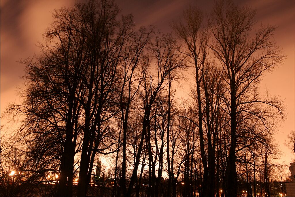 ������ ����