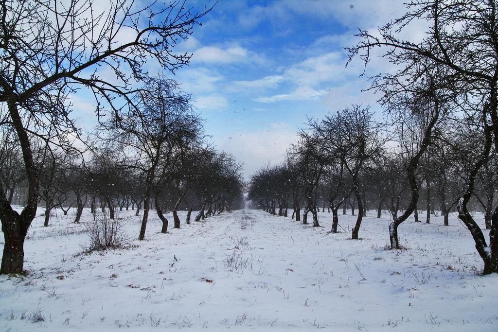 ����� �� �������