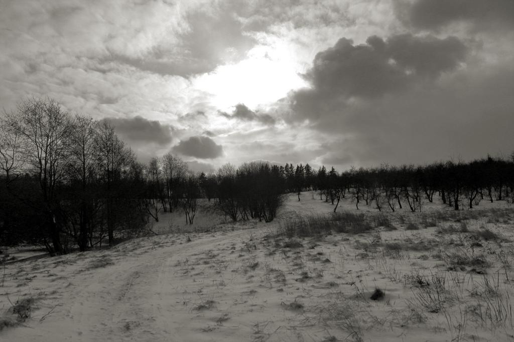 ����� �����