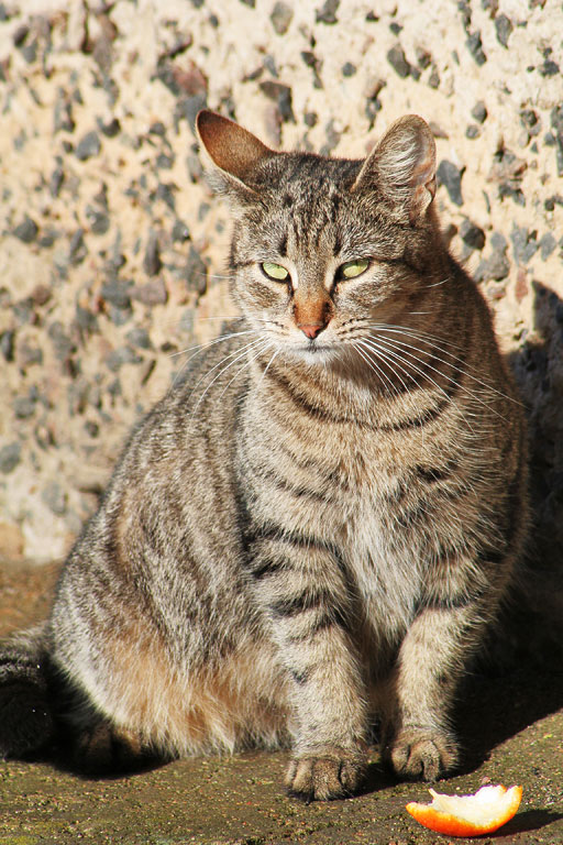 ���� ���� ���� ������������ �����!