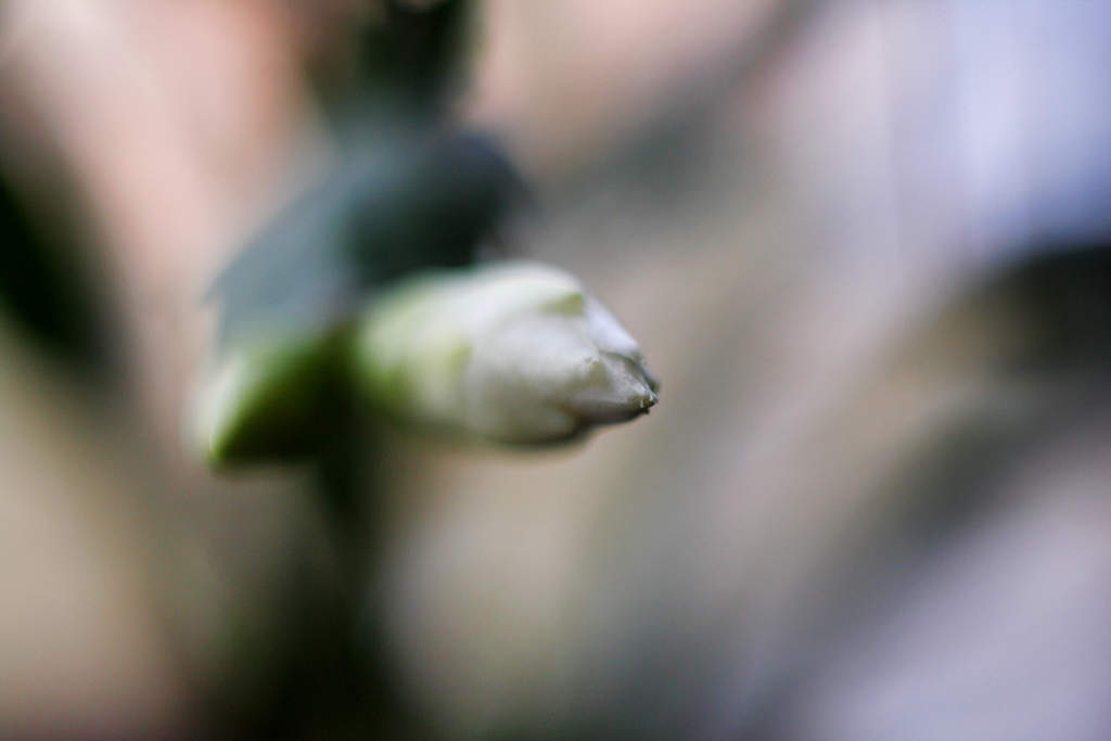 ���������� �����������