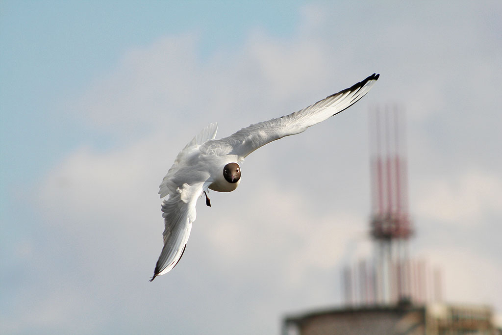 � �� ��� ��� �������?