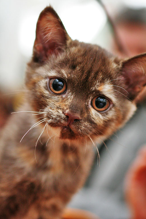 ����������