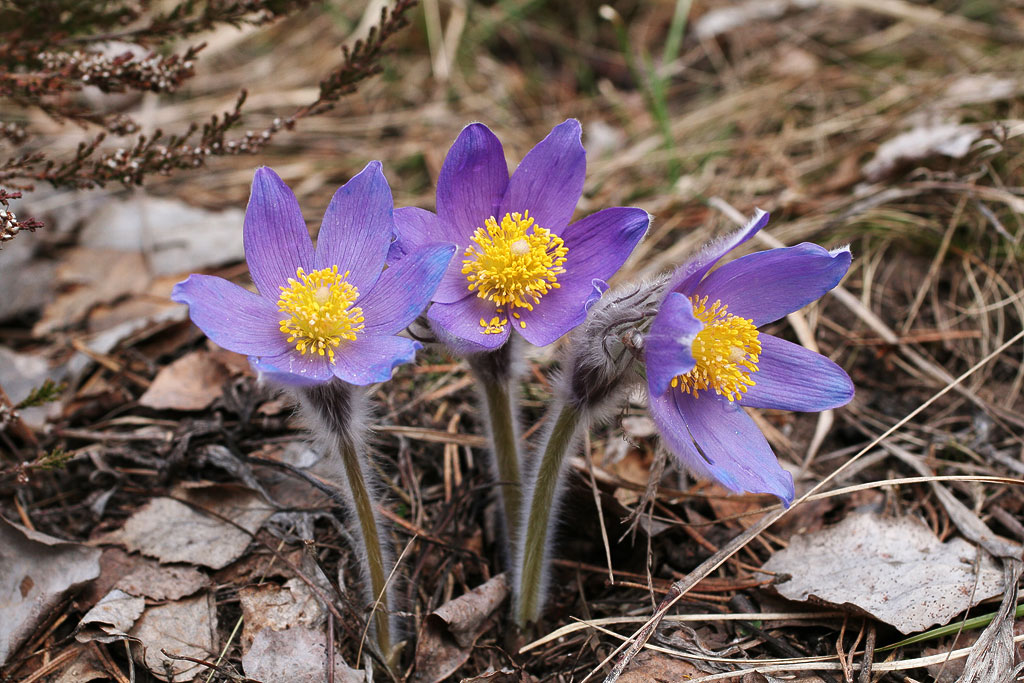 ���-�����