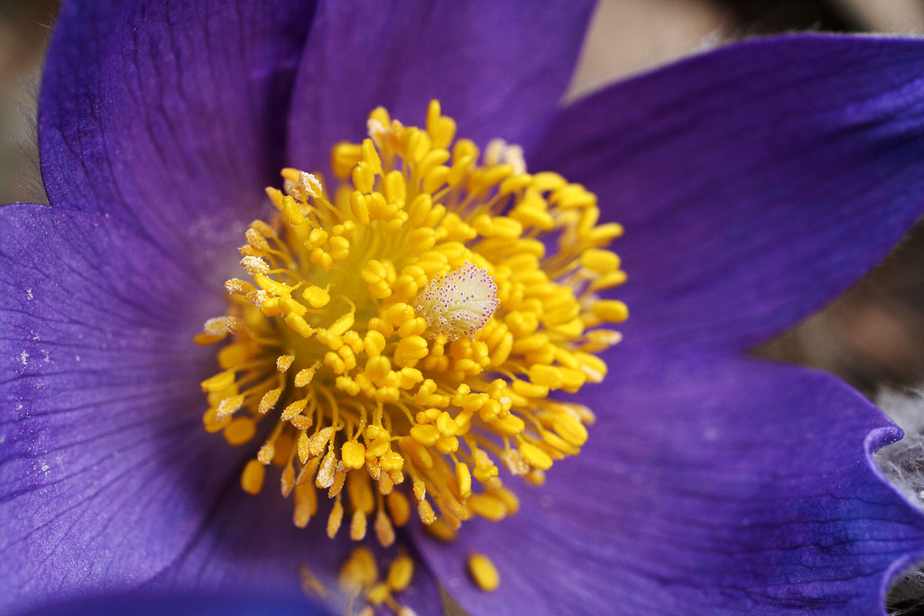 ���-�����