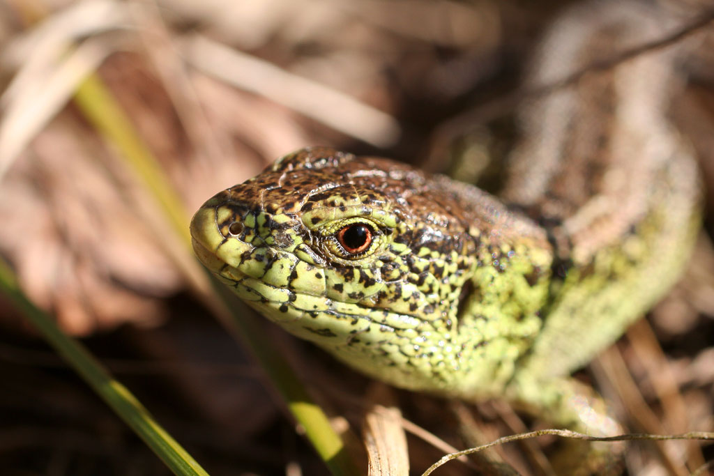 � ��� ��� � ��� ����������������