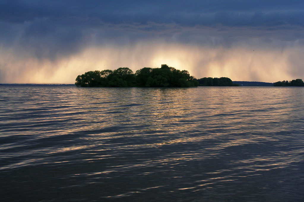 ���� �����������