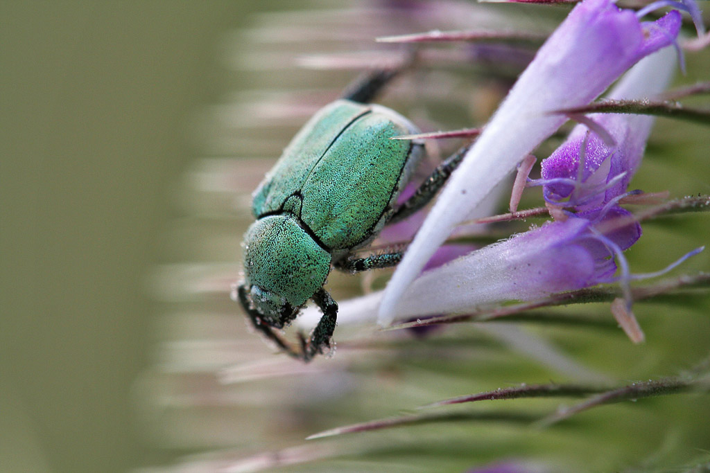 ���� � ������