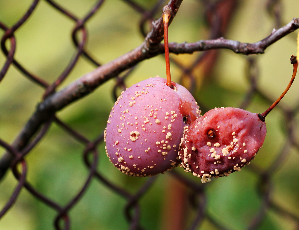 ������������