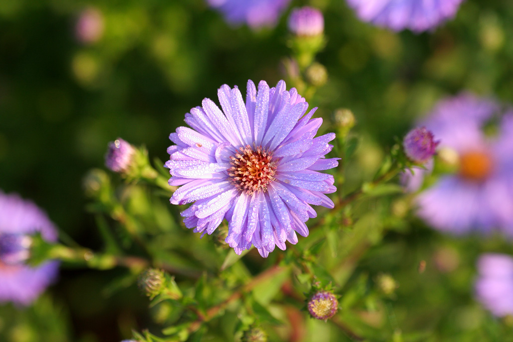 ����������