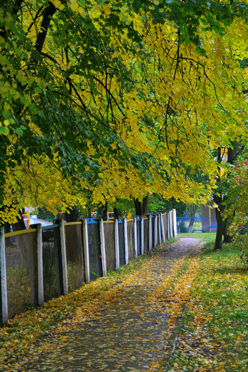 ������� �������