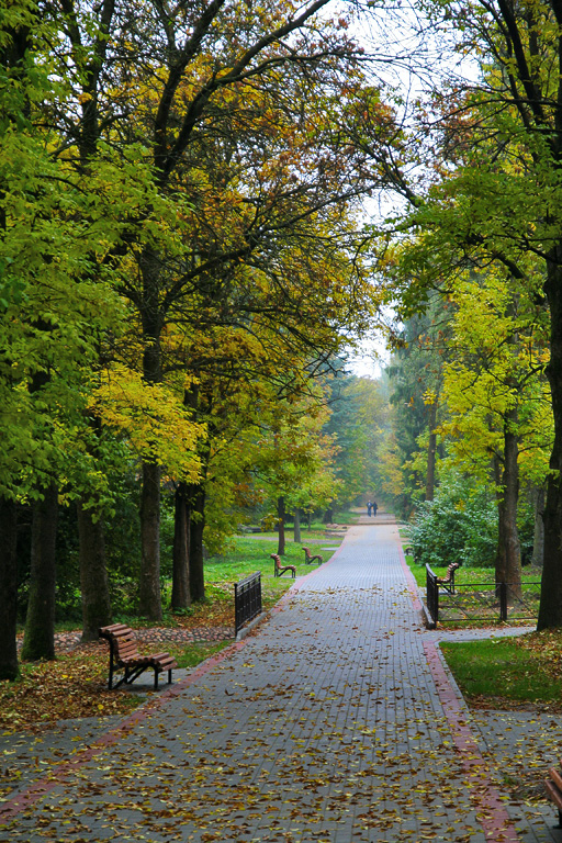 ������� ��������