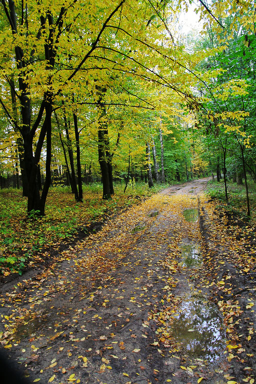 ������ �������