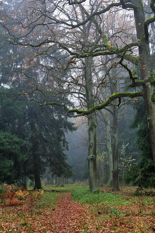 ������� �������