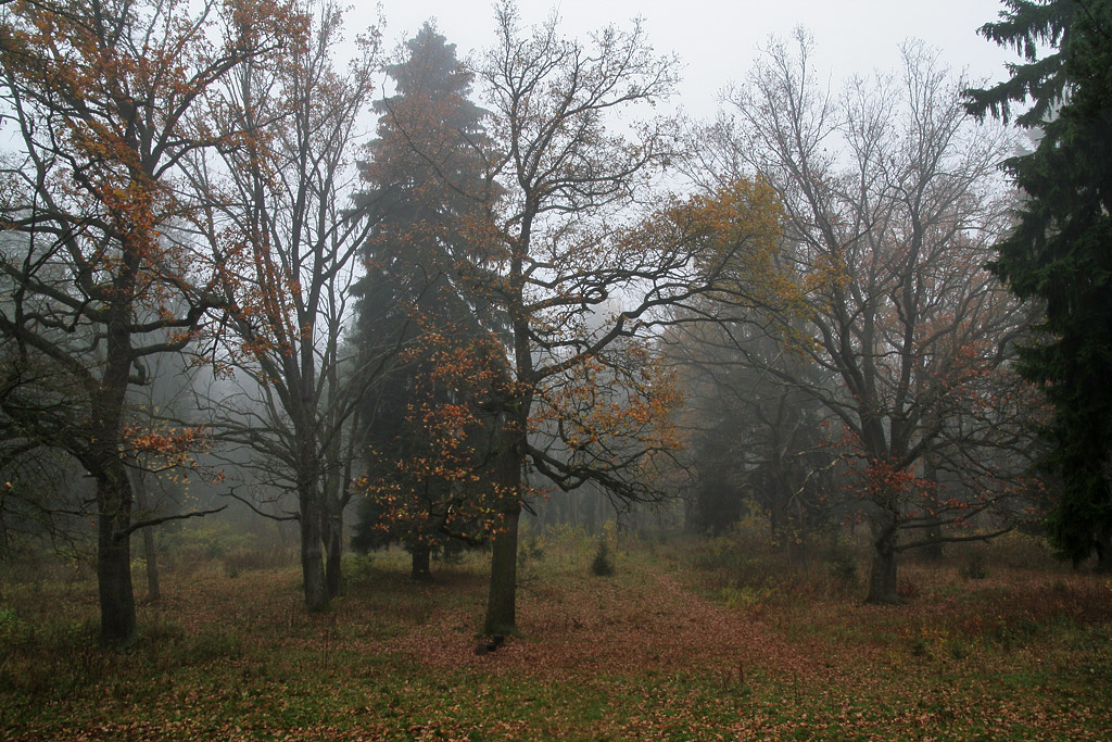 ������� ���