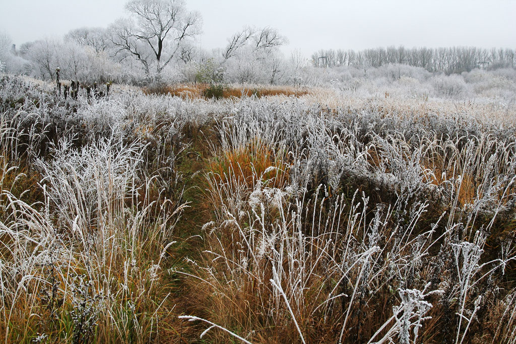 ������� �������