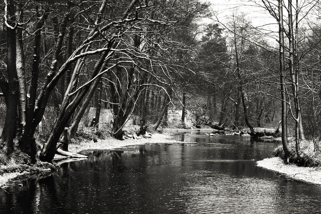 ����� ����