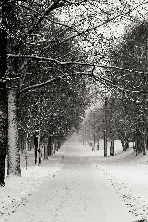 ������ �����