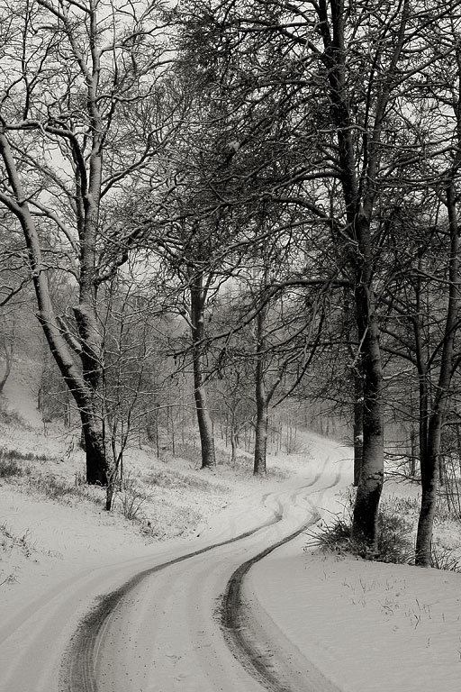 ���� ������