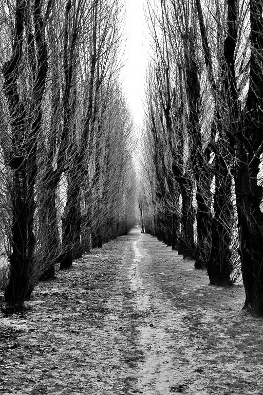 ������ �����