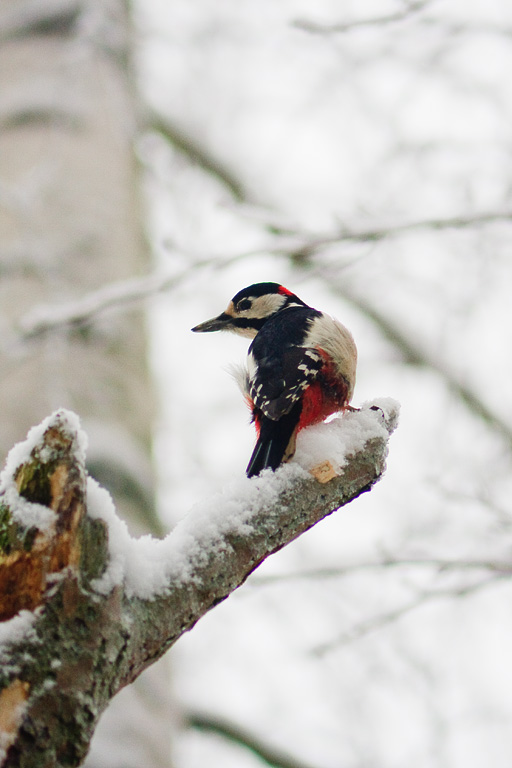 ��� ���?