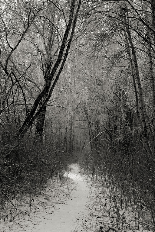 ����� ������ ���