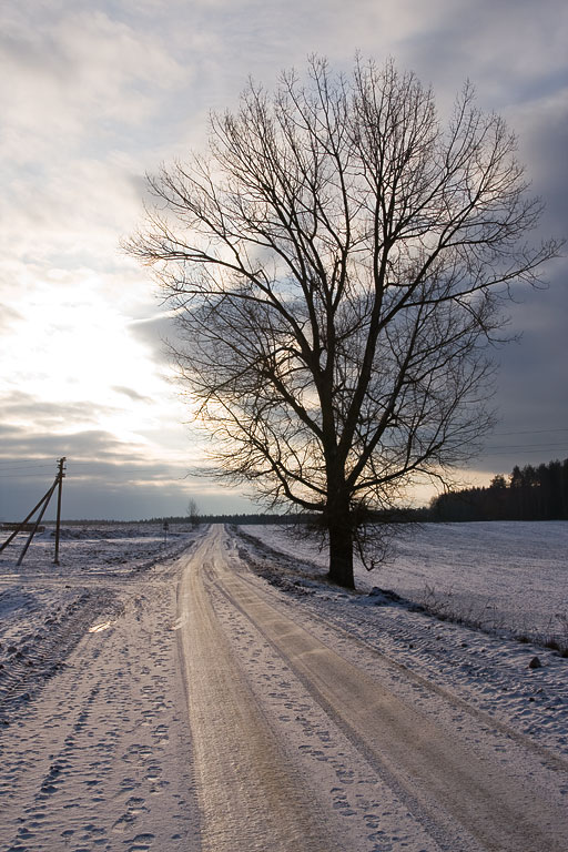 ������ �������