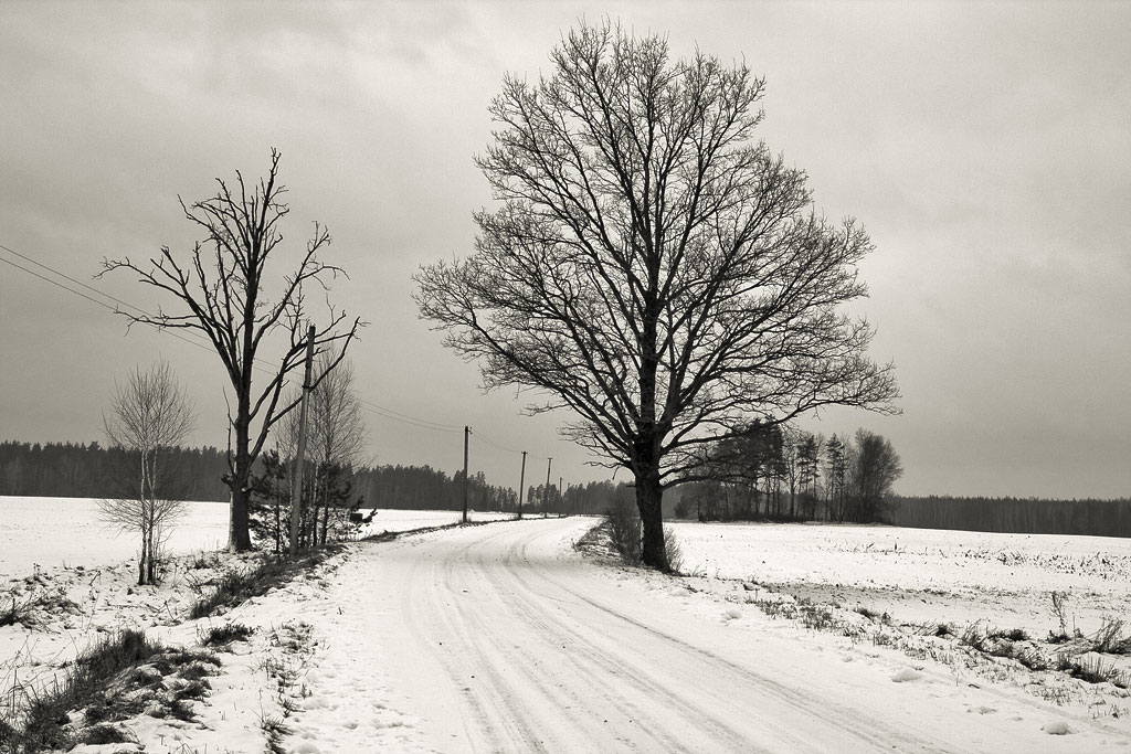 ������ �������