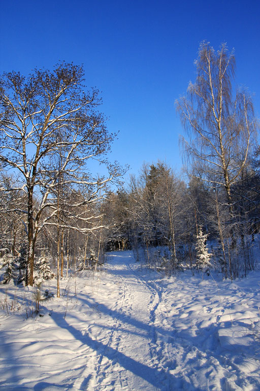 ������ �������