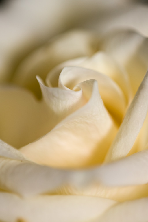 ����� ��������