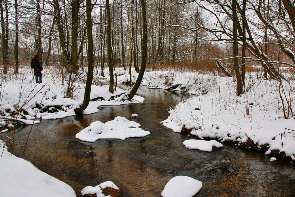 ������ ����