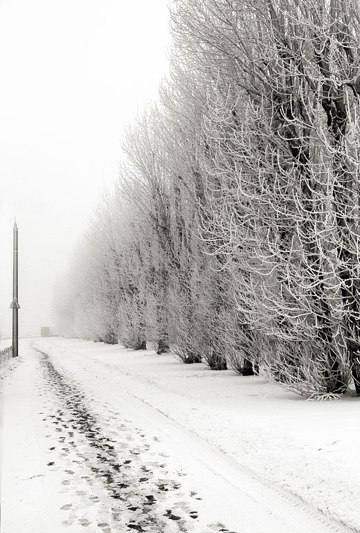 ���� � �������������