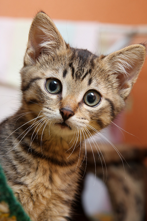 ��. ��� ���?