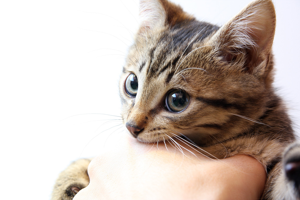 �������