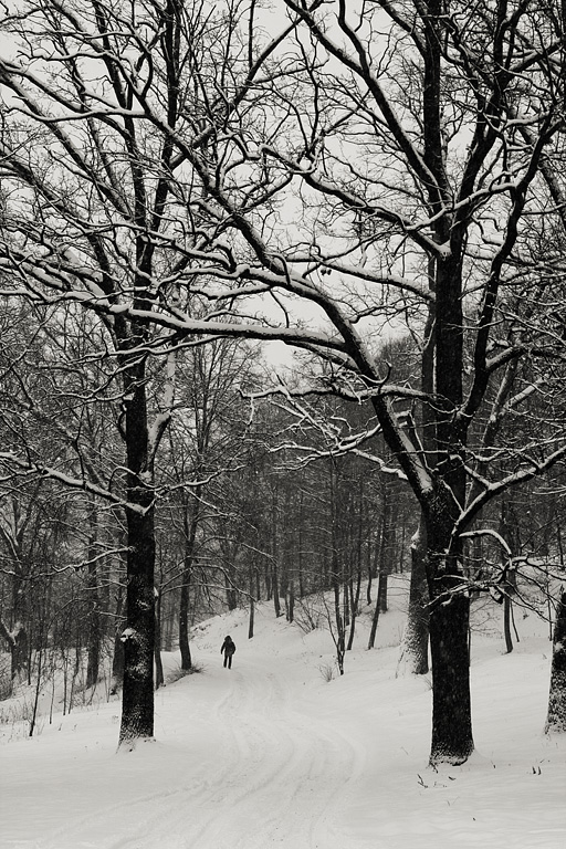 ������������� � ����