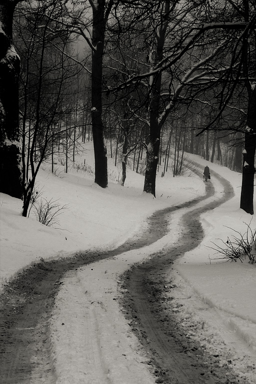 �� ������ �����. (��������������� ������ �����������)