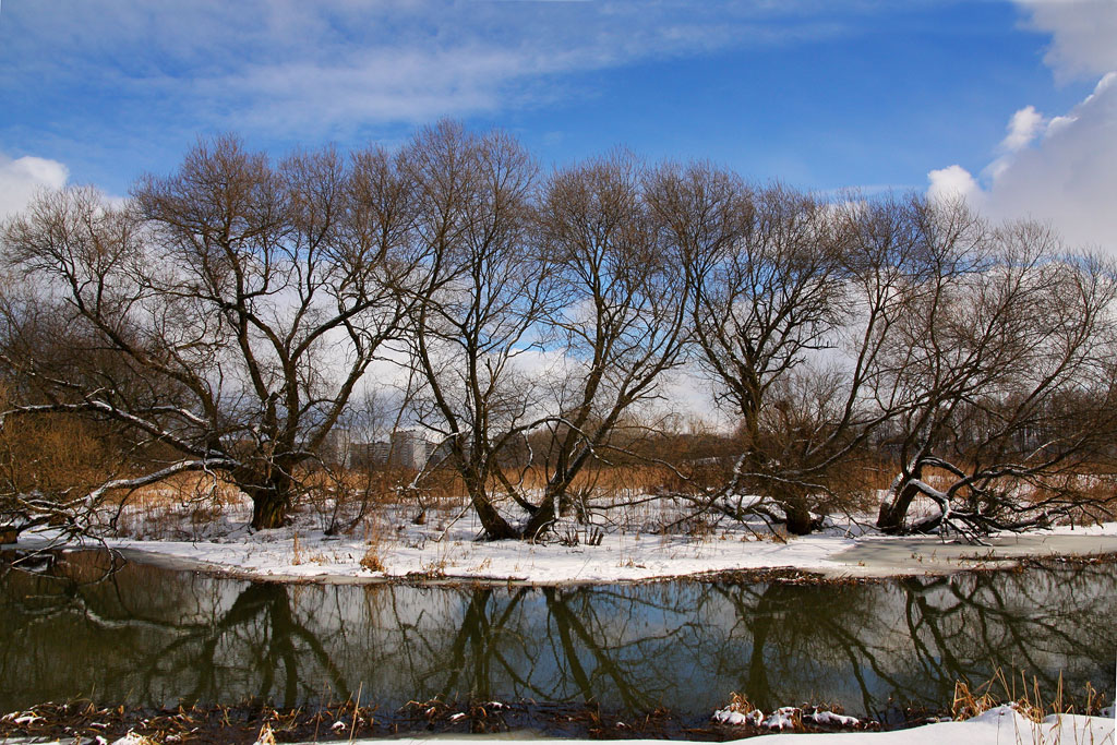 ��������� ���� ����