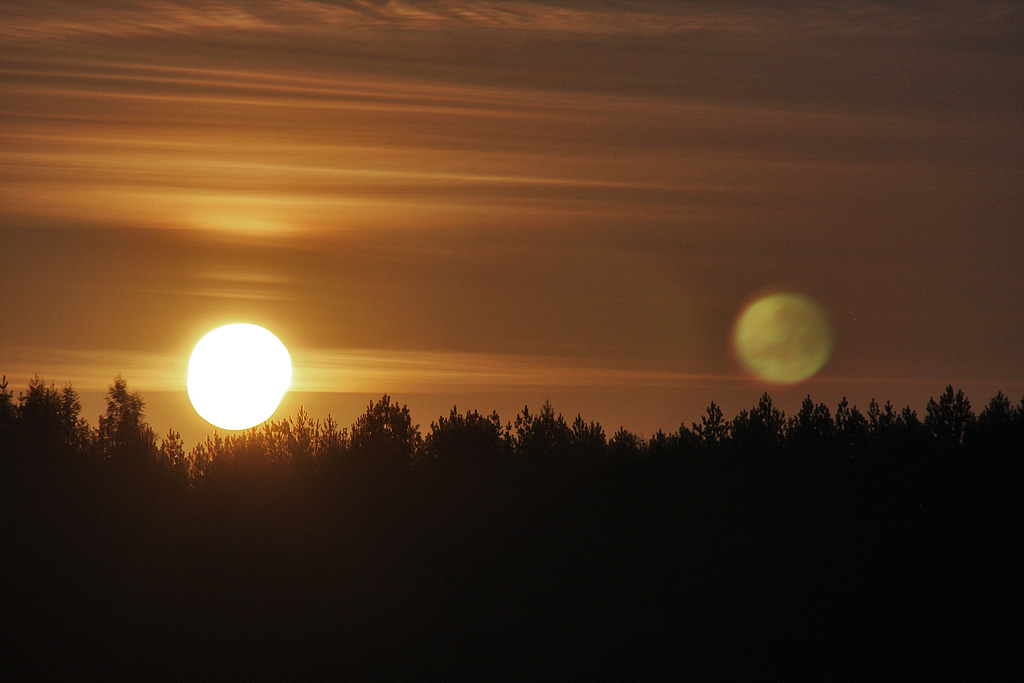 ������ ����