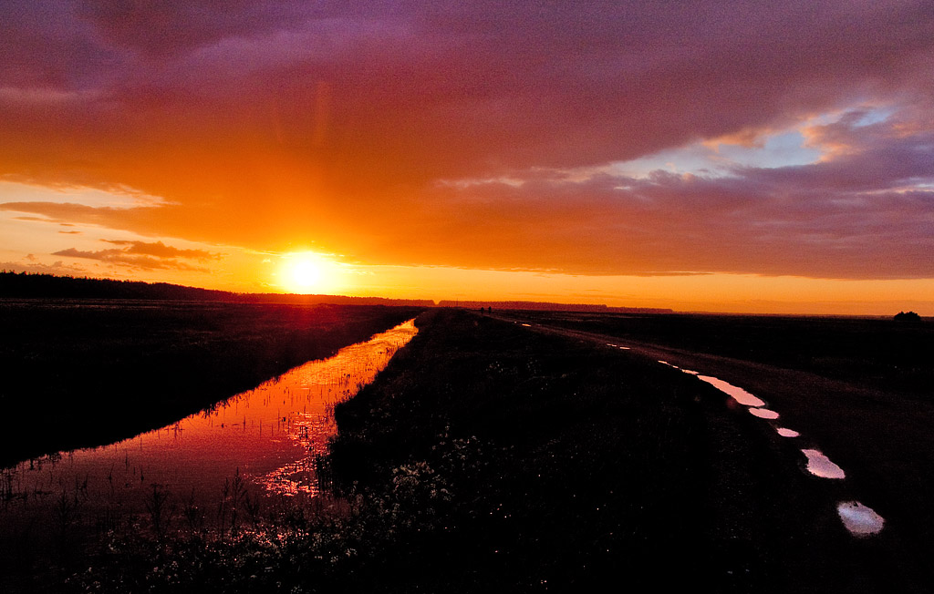 ������ � ������