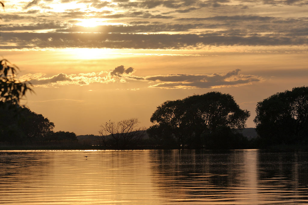 ����� �� ������� ����