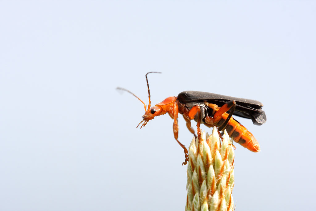 � ������ �����!