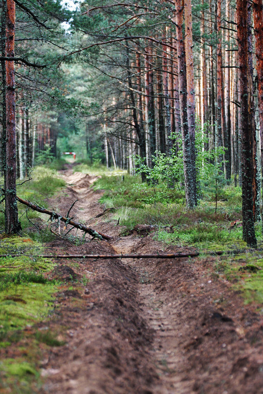 ����� ��� ������