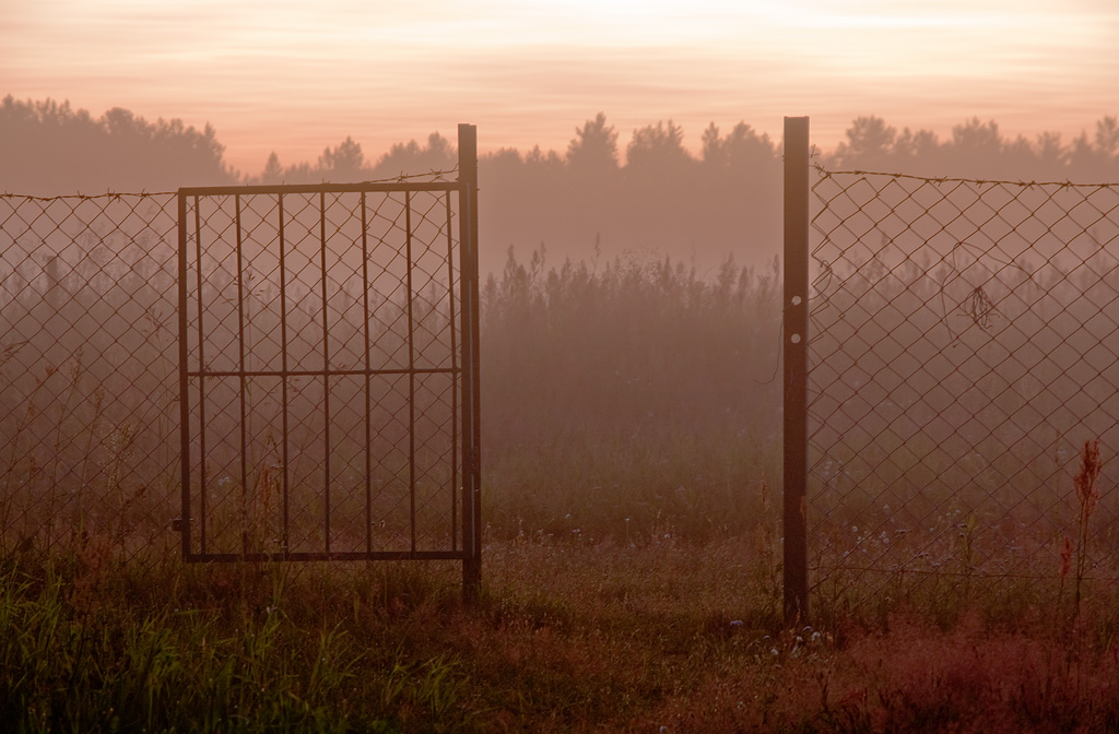 ���������� ������ ����������