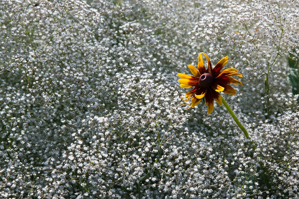 ������������ � ������